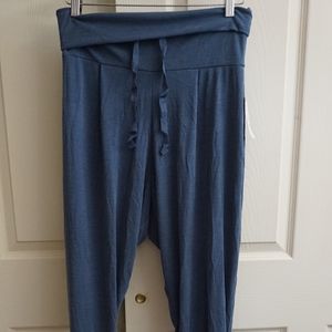 Free People Harlem pants NWT